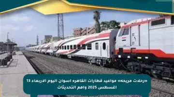«رحلات مريحة» مواعيد قطارات القاهرة أسوان اليوم الأربعاء 13 أغسطس 2025 وأهم التحديثات